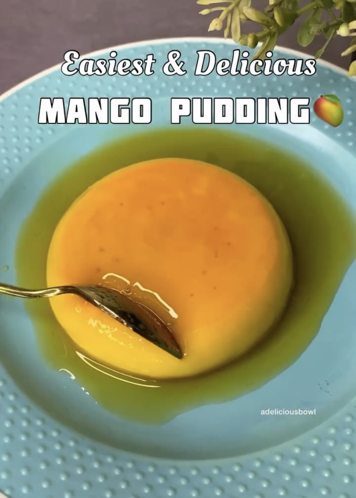 Mango pudding